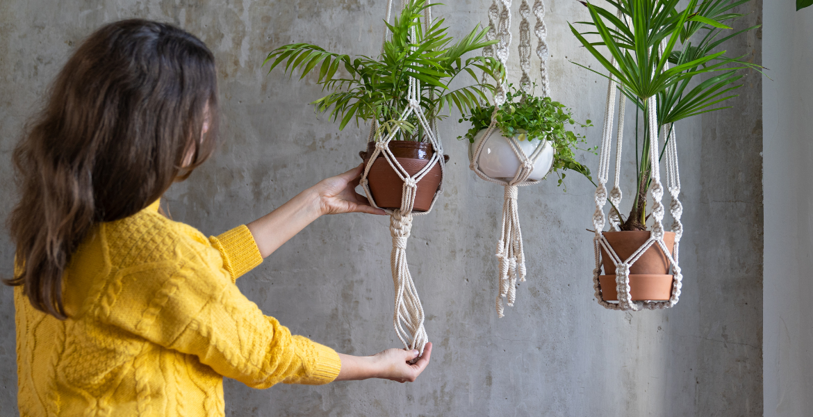 Süs Bitkileri Uzmanlığı Eğitimi